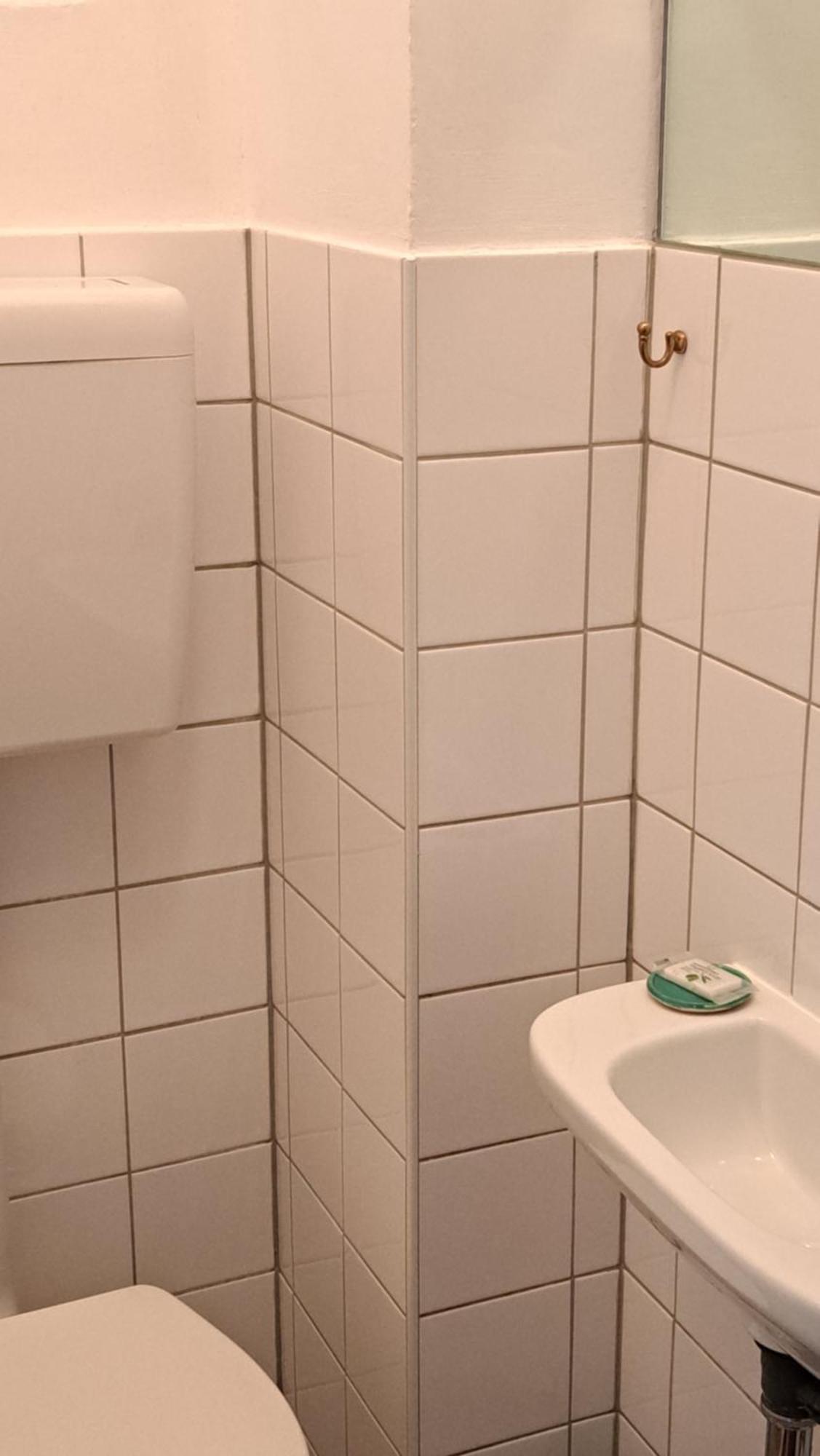 Am Baalstein Apartment Traunkirchen Exterior foto